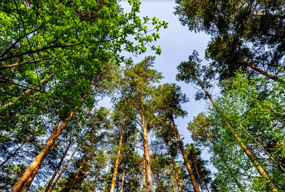 Фото Ужасы города. Опубликованы самые страшные легенды о Новосибирске в пятницу 13-го 6